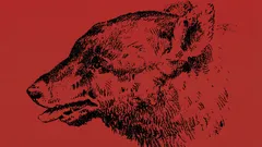 Dokážete na této optické iluzi najít člověka?