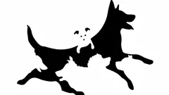 Kolik psů vidíte na obrázku? Rychlý test odhalí váš psychologický věk