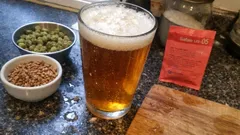 Pliny the Elder doma: Imperial IPA all grain krok za krokem (včetně dry hopu)