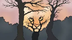 Co vidíte na tomto obrázku? Psychologický test, který odhalí, jak vnímáte svět