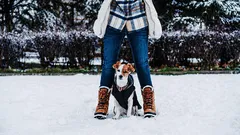 Kolik minut denně je potřeba venčit štěně?