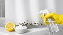 Jak odstranit plíseň ze sprchového závěsu: 3 domácí metody, které opravdu fungují