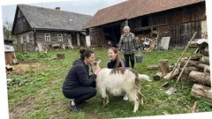 Životní historka: V Praze mi dohnala jedna dědova otázka z chalupy na Vysočině