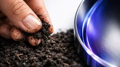 Rakouská mince 25 euro Edaphon: barevný niob a příběh života v půdě